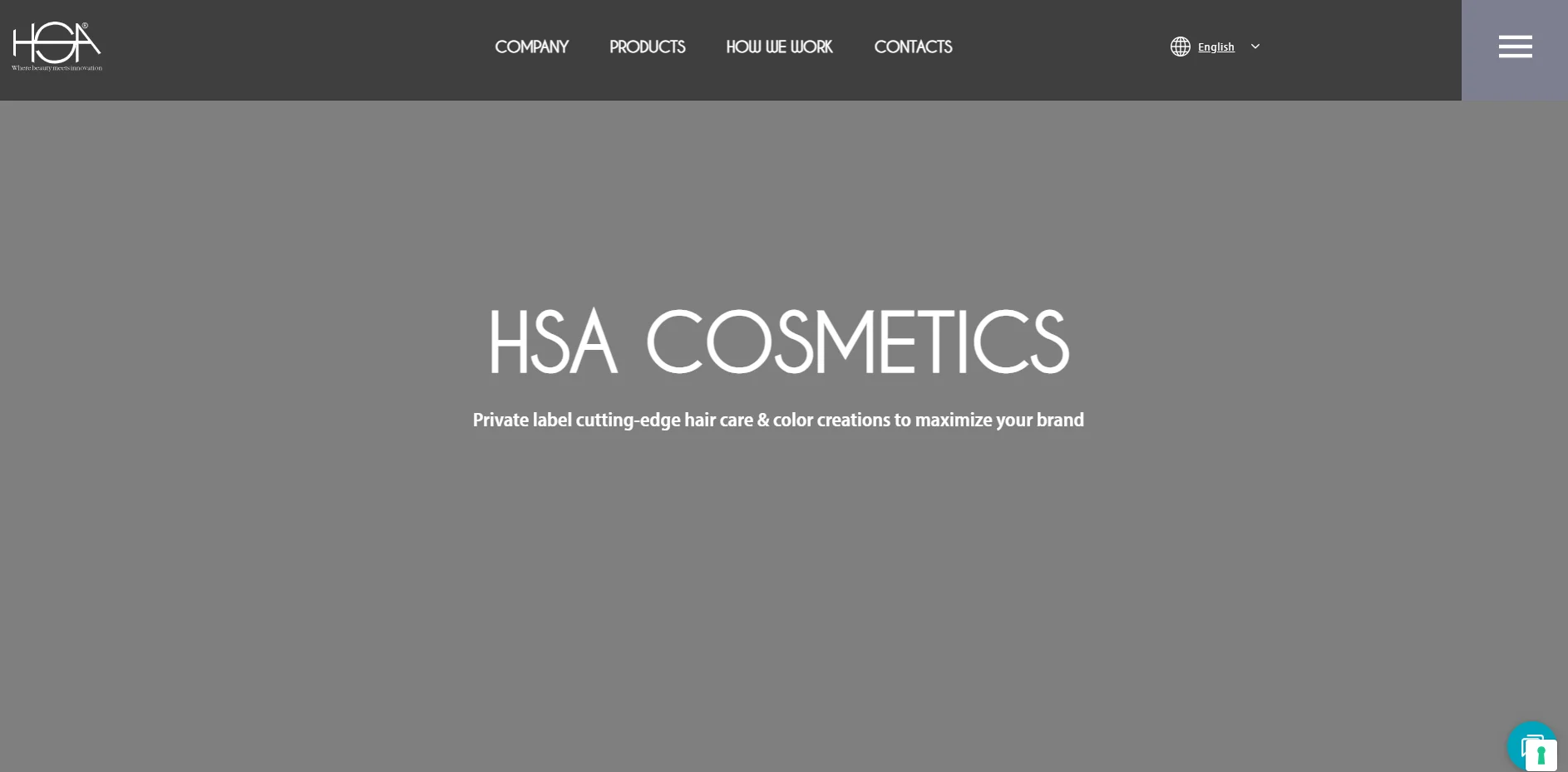 HSA Cosmetics homepage showing a minimalist gray layout, featuring the text 'Private label cutting-edge hair care & color creations to maximize your brand.'